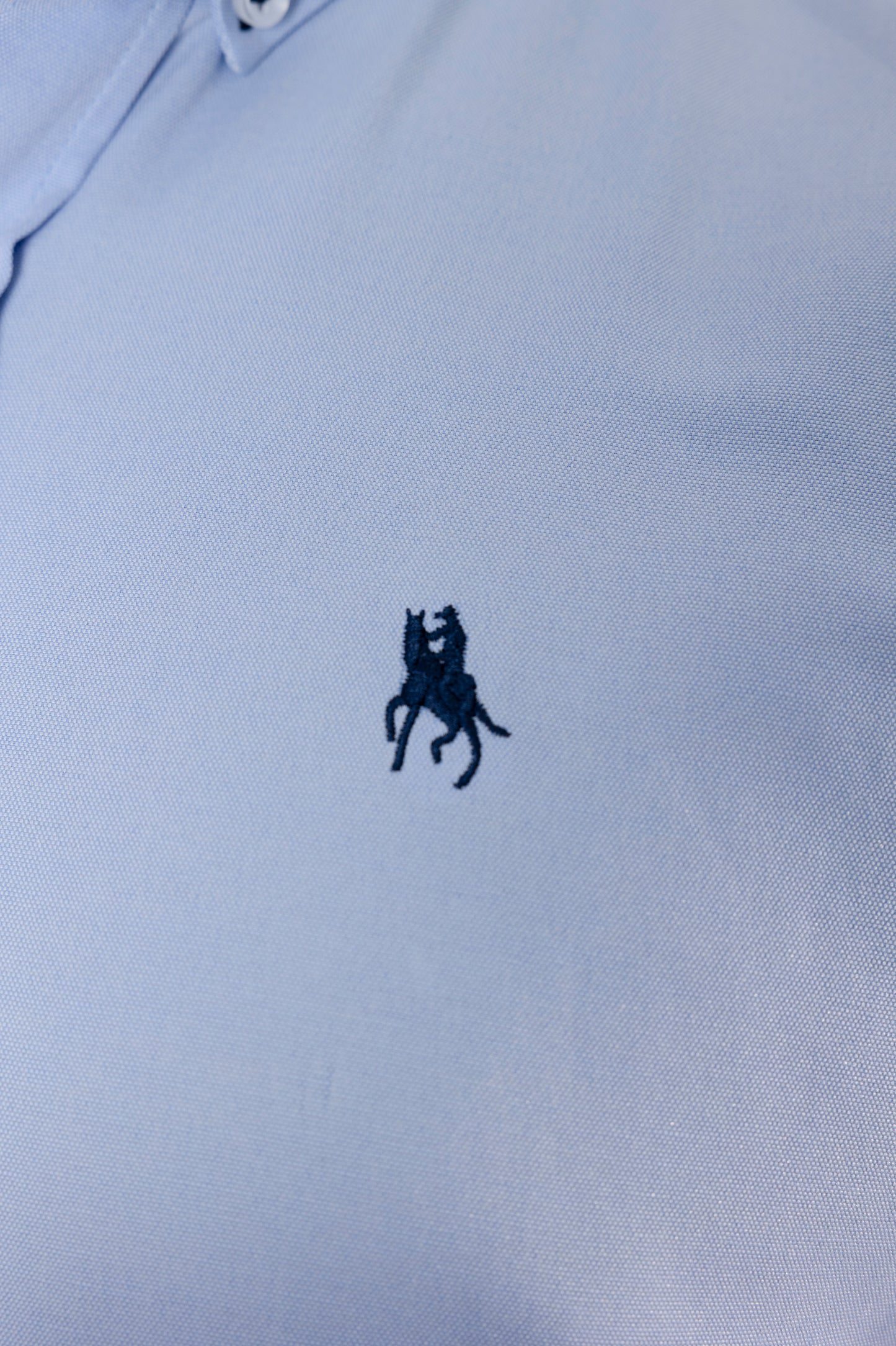 Camisa lisa celeste