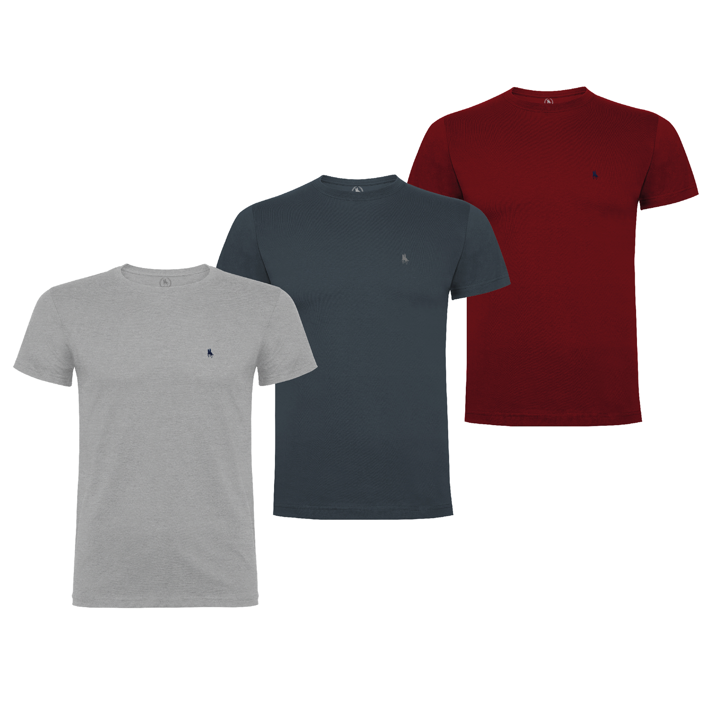 PACK camisetas GEG