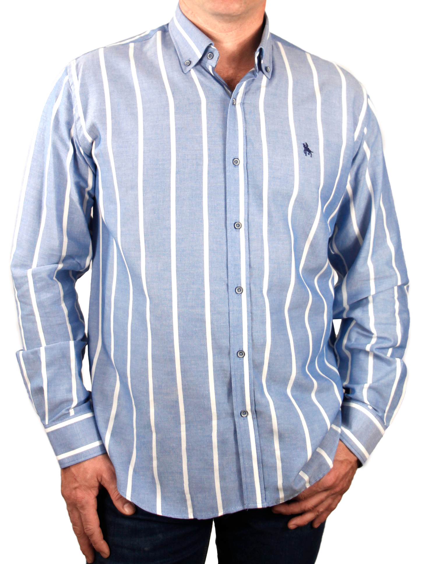 Camisa rayas anchas azul