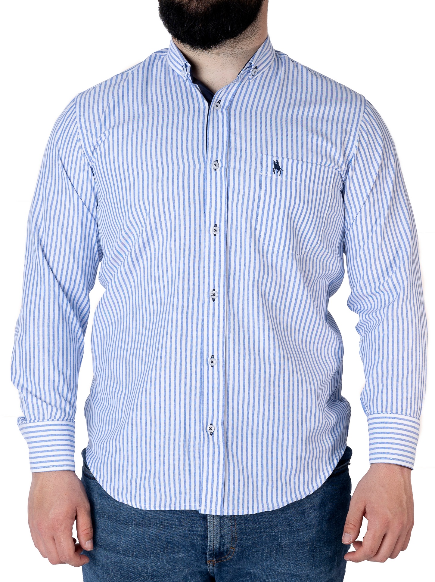 Camisa rayas azul marino