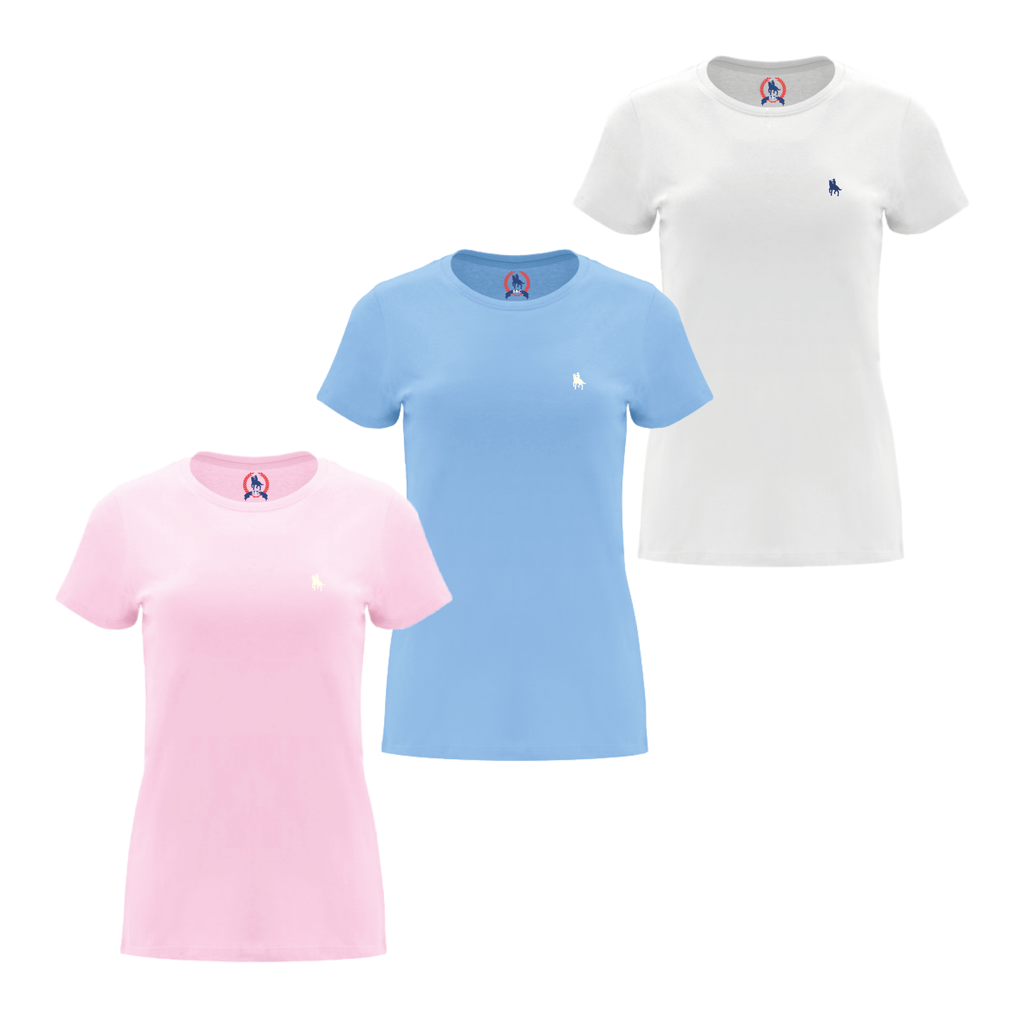 PACK Camisetas RCB
