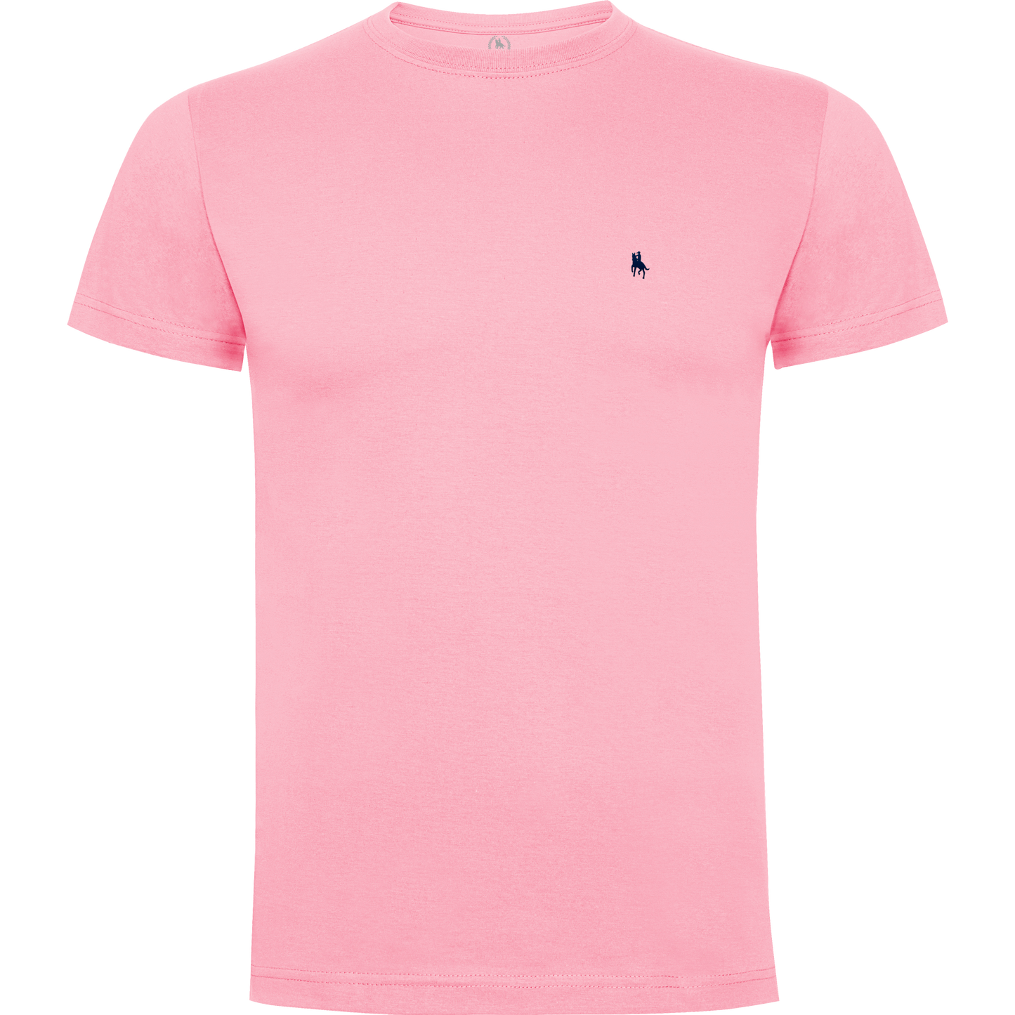 Conjunto Bañador Flamencos y Camiseta Básica Rosa