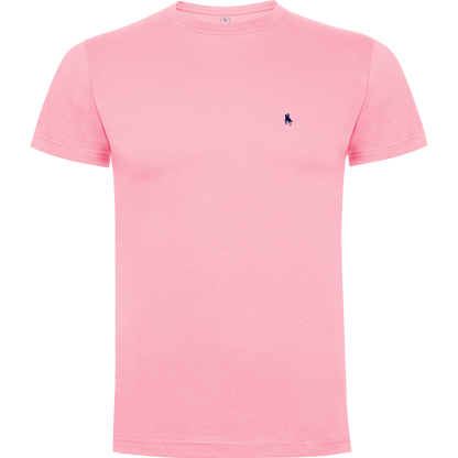 Conjunto Bañador Flamencos y Camiseta Básica Rosa