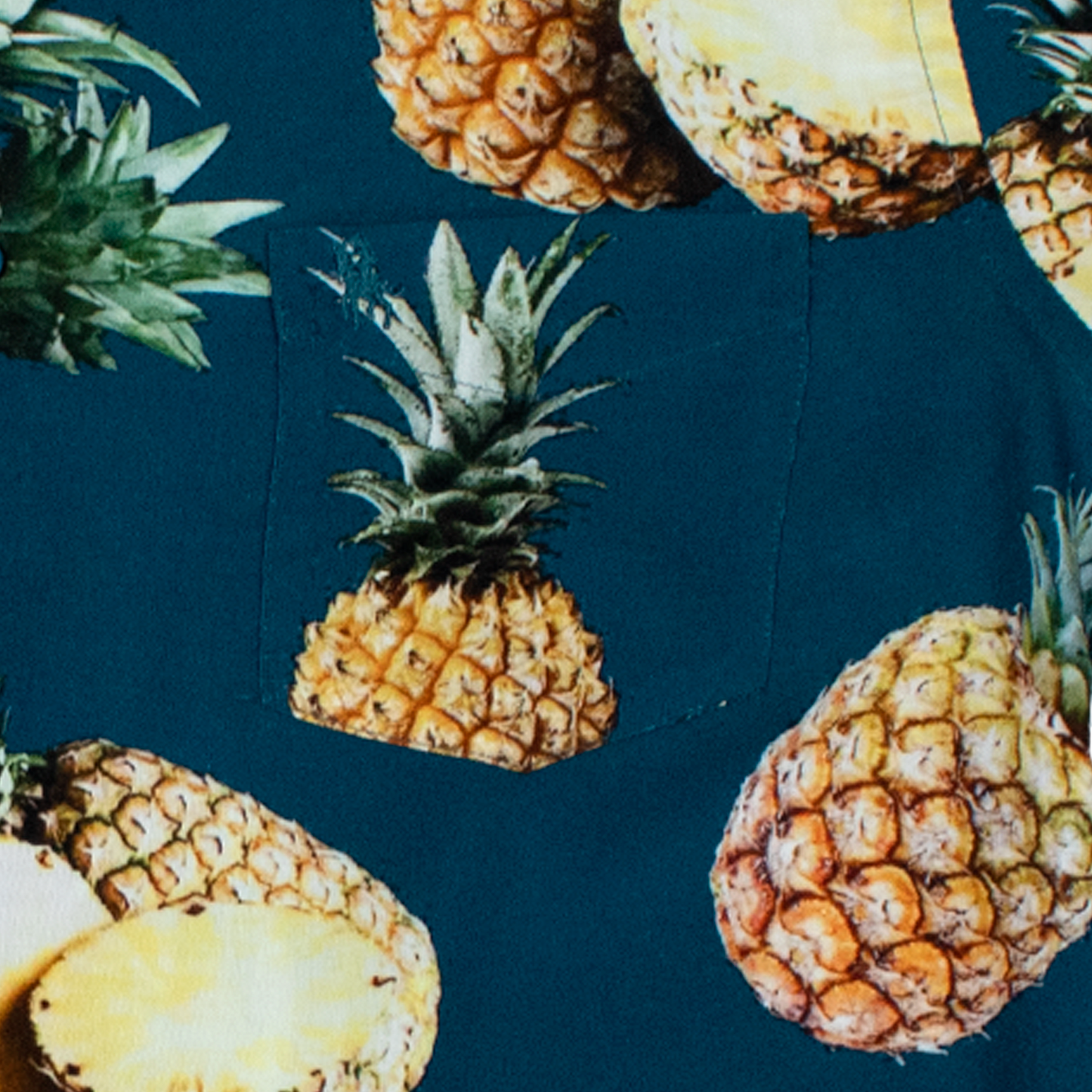 Camisa estampado piñas