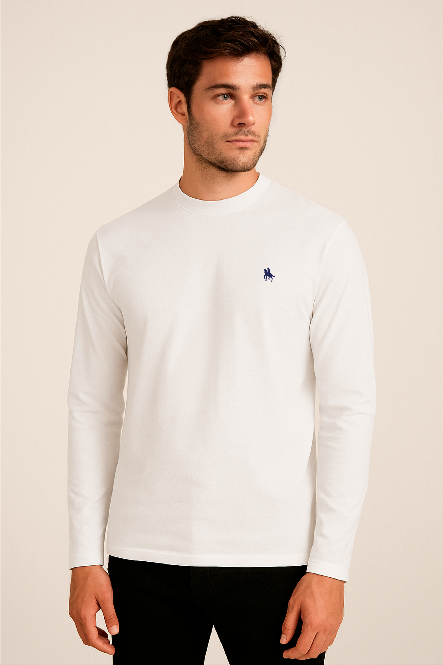 Camiseta Manga Larga Blanca