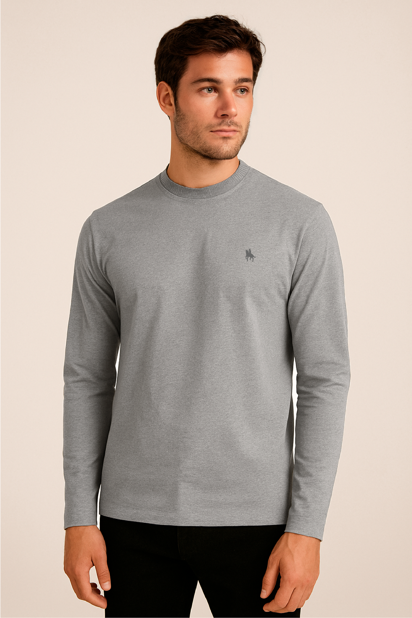 Camiseta Manga Larga Gris