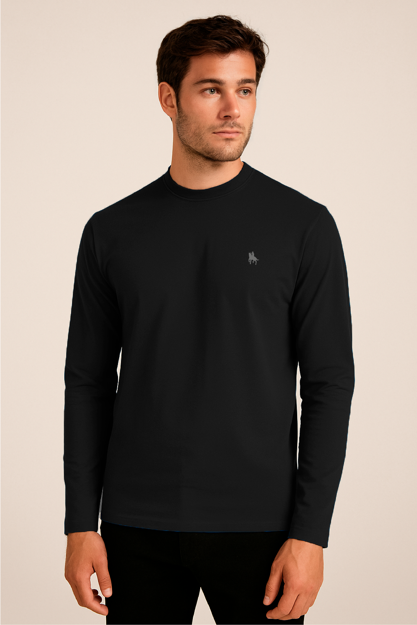 Camiseta Manga Larga Negra