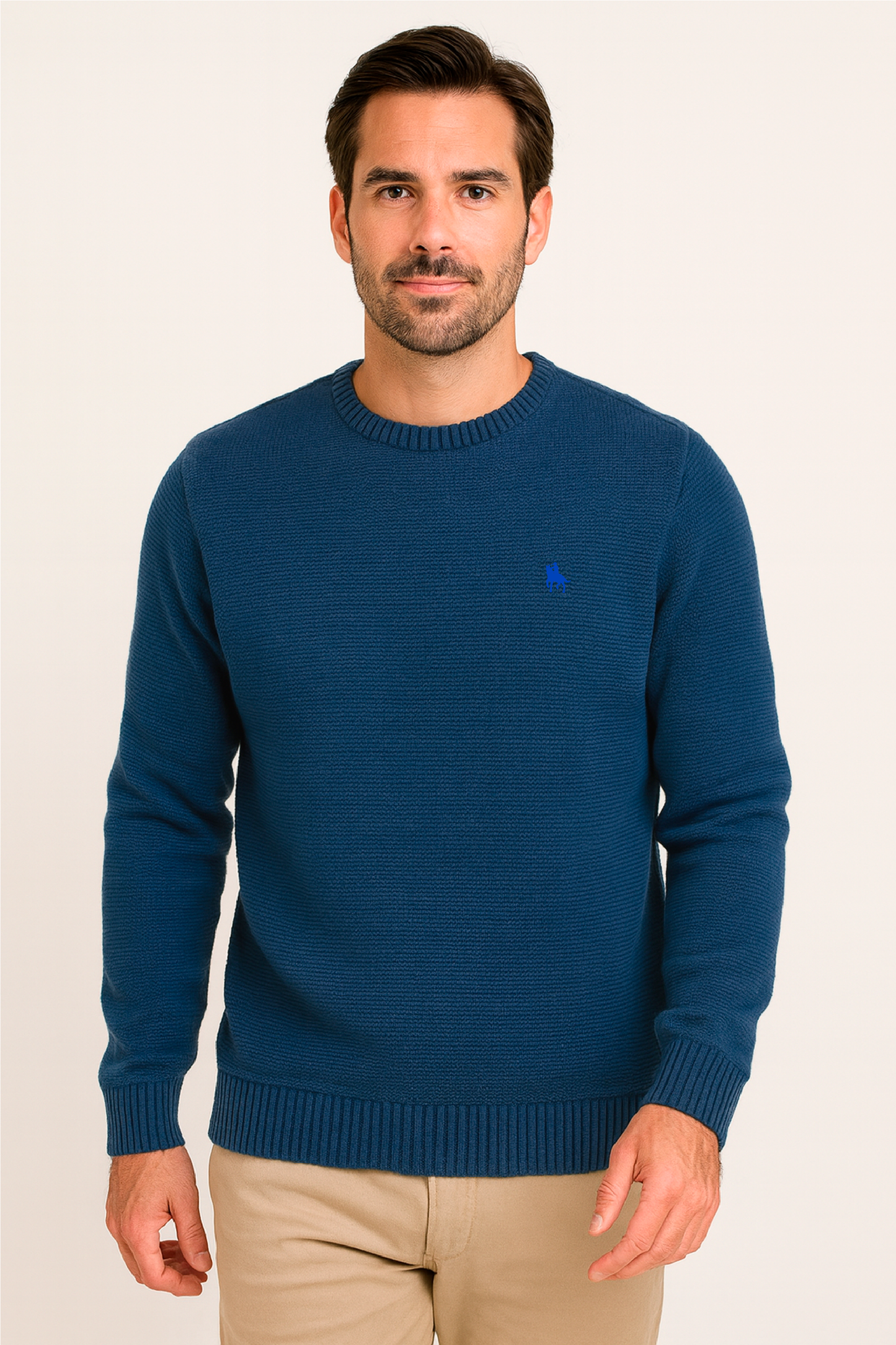 Jersey Hombre Punto Azul