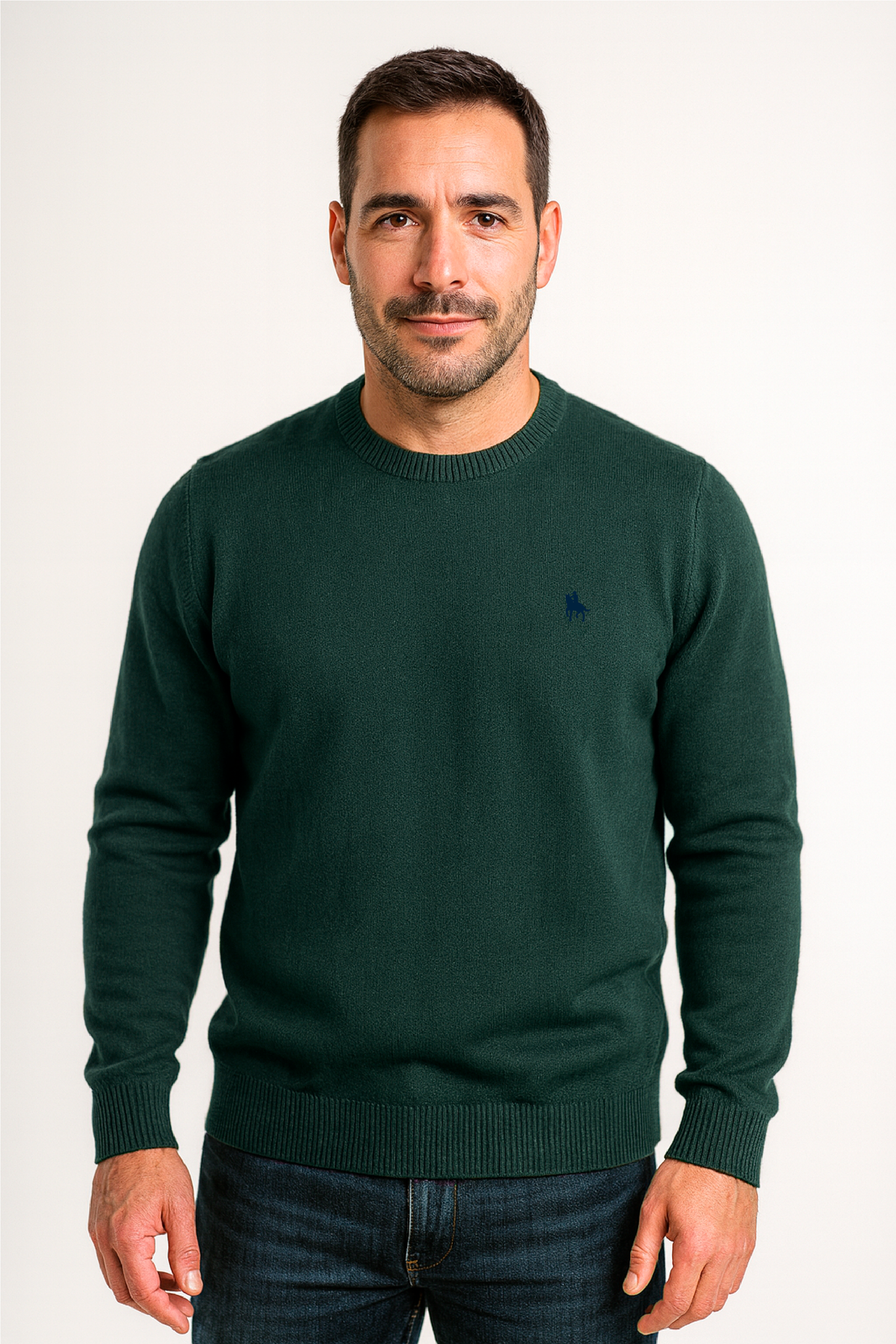 Jersey Hombre Punto Verde Mirabbo