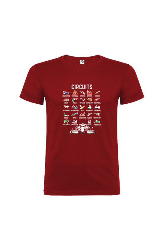 Camiseta Manga Corta Hombre Personalizada "Circuits"