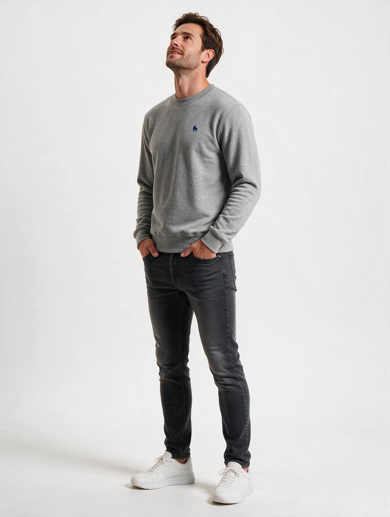 Sudadera Básica con bordado Gris