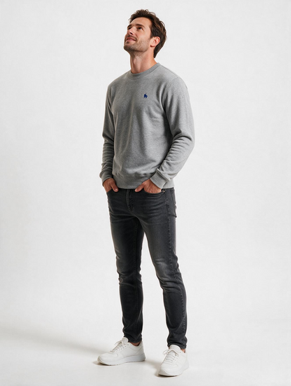 Sudadera Básica con bordado Gris